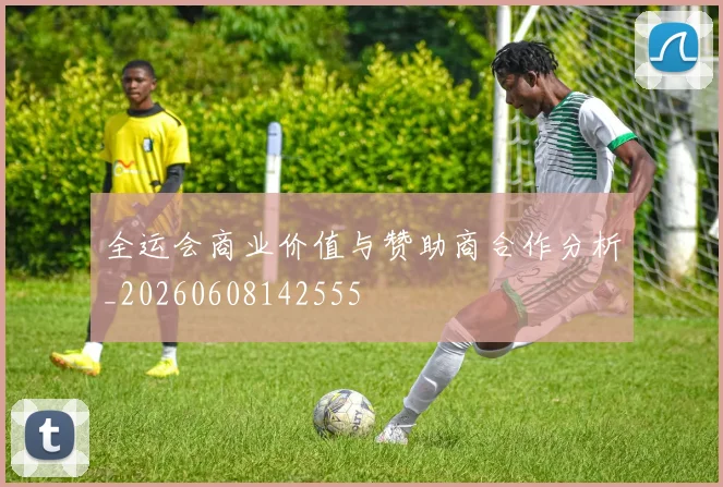 全运会商业价值与赞助商合作分析_20260608142555